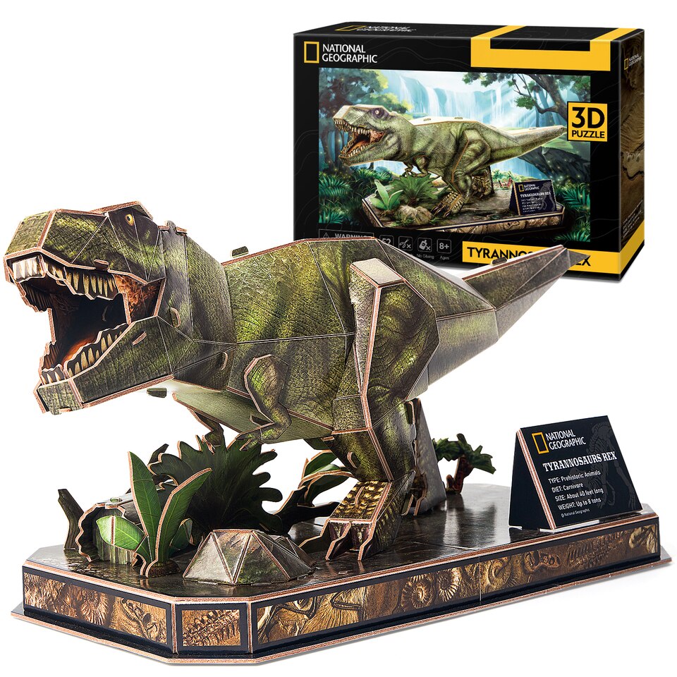 Puzzle 3D Dinosaure T-Rex Jouet pour Garçon Fille 5 6 7 Ans Nationa